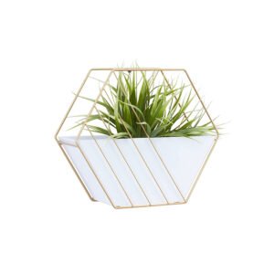 Contemporary Metal Planter