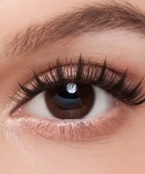 WOSADO: Magnetic Lashes Without Glue or Eyeliner, If They Suit Your Eye Shape